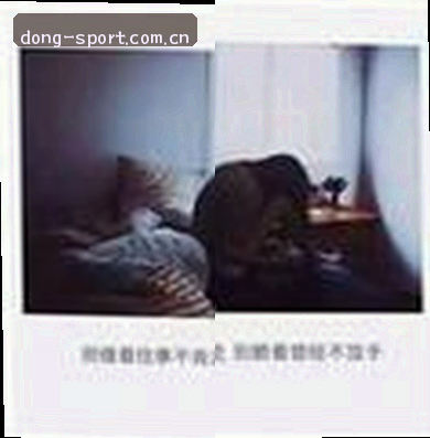 赵敏